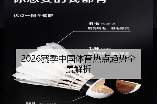 2026赛季中国体育热点趋势全景解析